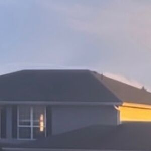 Meet your Posher, Nelly